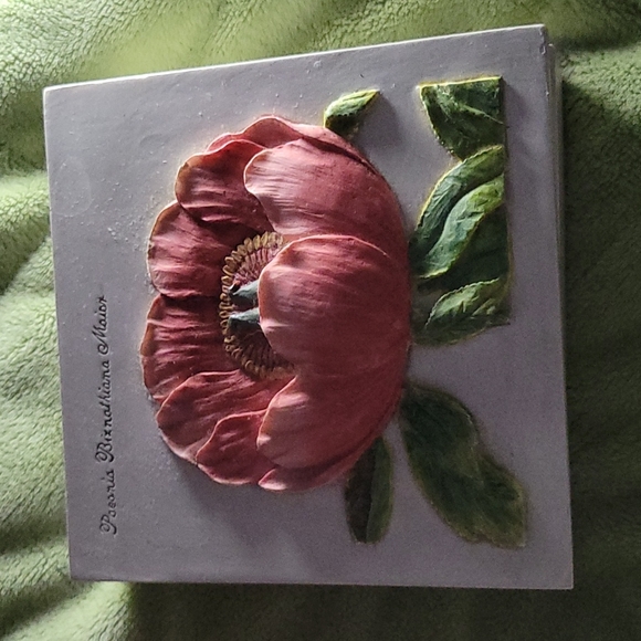 Paeania Biznathian Marion - Picture 3 of 8